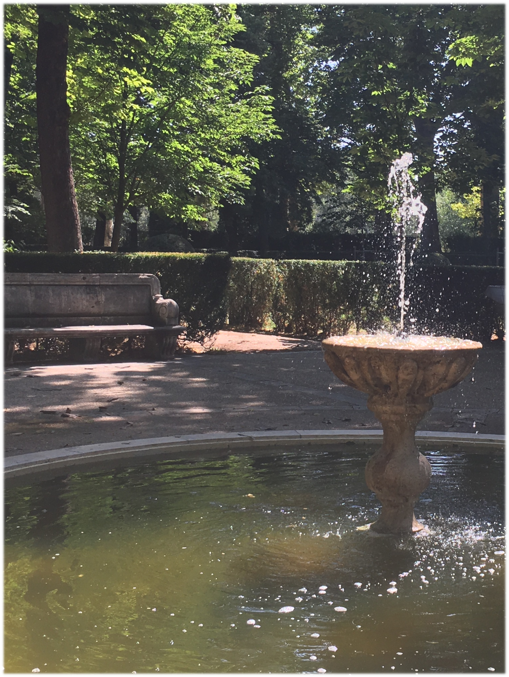 L'Anneau
                    tournant