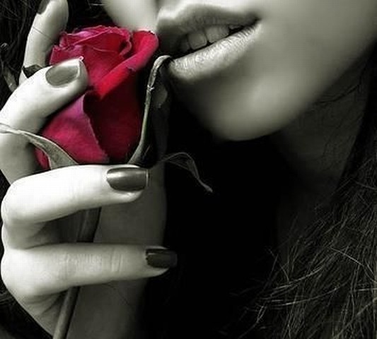 sereira D&iacute;a de amor